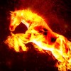 Arôme Red Horse (10ml)